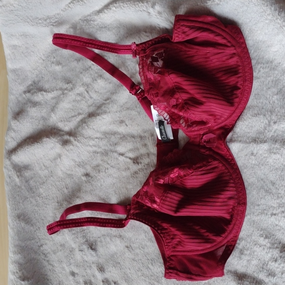 💕💕 CHANTELLE BRA NWOT 34B